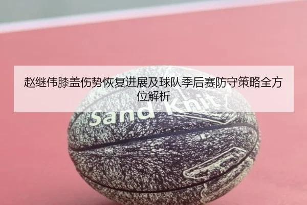 赵继伟膝盖伤势恢复进展及球队季后赛防守策略全方位解析